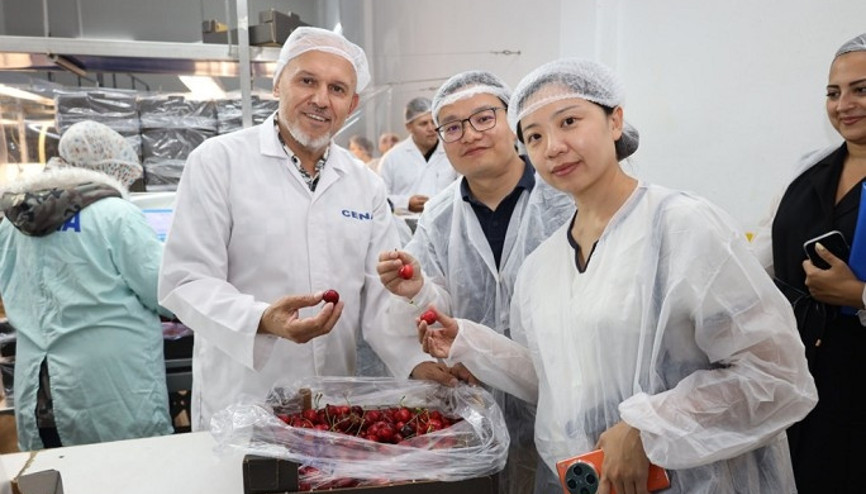 Türk kirazı tek yön Çin bileti peşinde