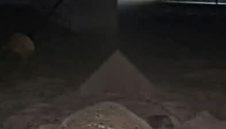 Kuşadasında ilk caretta caretta yuvası Güzelçamlıda tespit edildi