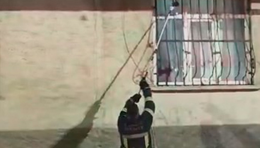 Bir evin pencere korkuluğuna çıkan yılan, yakalanarak doğaya bırakıldı