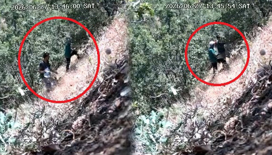 CHP ilçe başkanı ve oğlu fotokapana yakalandı: Kenevir tarlasını sularken görüntülendi Başkanın oğlunun ifadesi ortaya çıktı