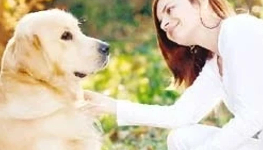 İnsan ve köpek arasındaki dostluk tüm dünyada aynı