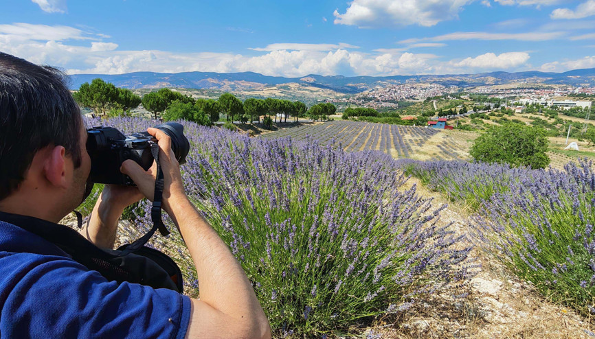 Mora bürünen lavanta tarlaları fotoğraf tutkunlarının yeni rotası oldu