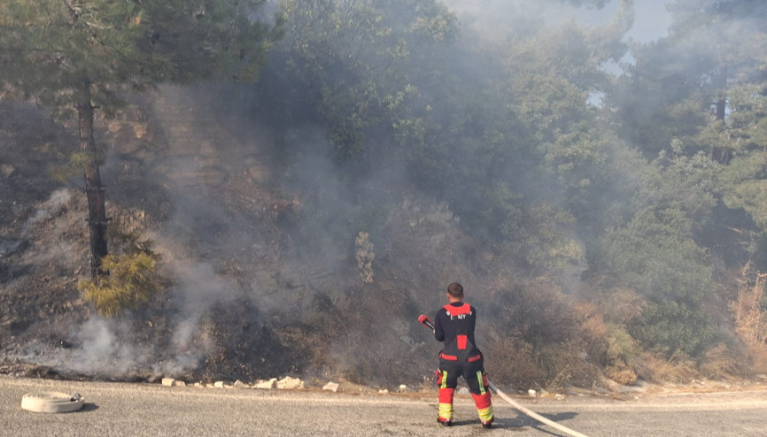 Zeytin bahçesinde çıkan yangın söndürüldü