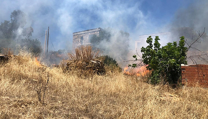 Bodrumda otluk alanda çıkıp ormana sıçrayan yangın söndürüldü