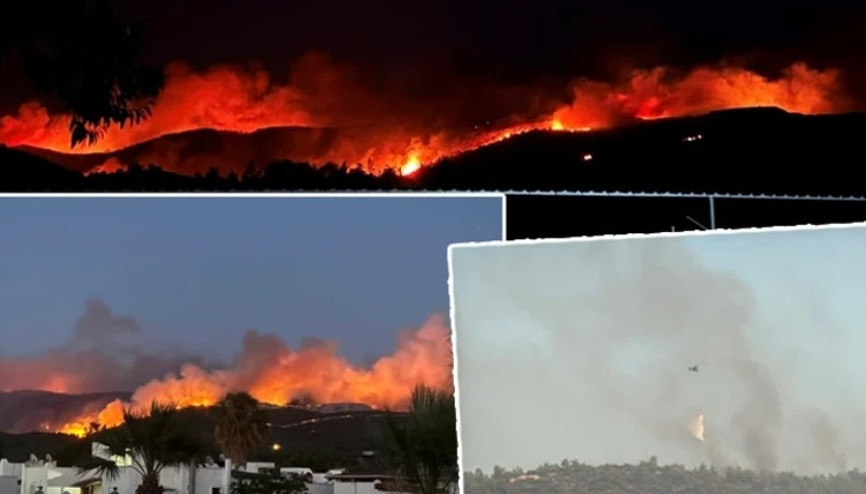 Milasta orman yangını