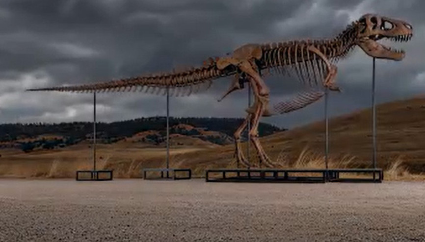 ABDdeki açık artırmada dinozor iskeletine rekor fiyat
