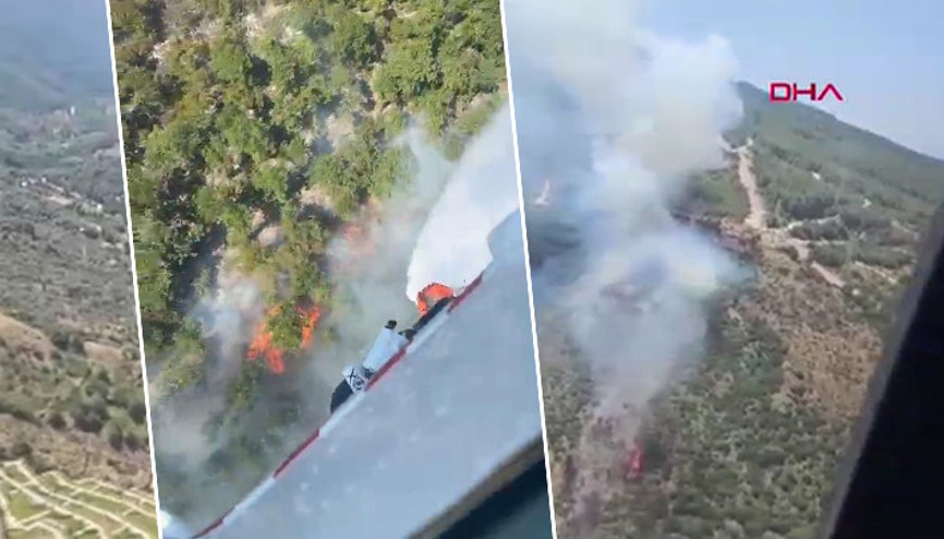 Son dakika... İstanbul dahil 4 ilde yangın çıktı
