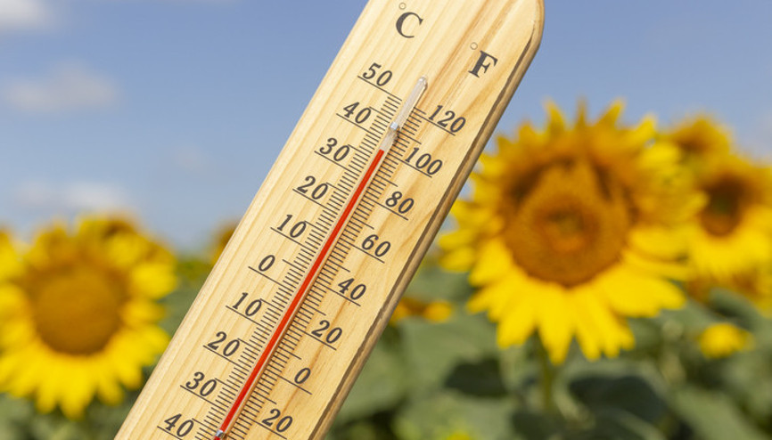 SON DAKİKA METEOROLOJİ HAVA DURUMU RAPORU 19 TEMMUZ 2026 || Bugün (Pazar) hava nasıl olacak, yağmur var mı Sıcaklıklar artıyor SON DAKİKA METEOROLOJİ HAVA DURUMU RAPORU 19 TEMMUZ 2026 || Bugün (Pazar) hava nasıl olacak, yağmur var mı Sıcaklıklar artıyor