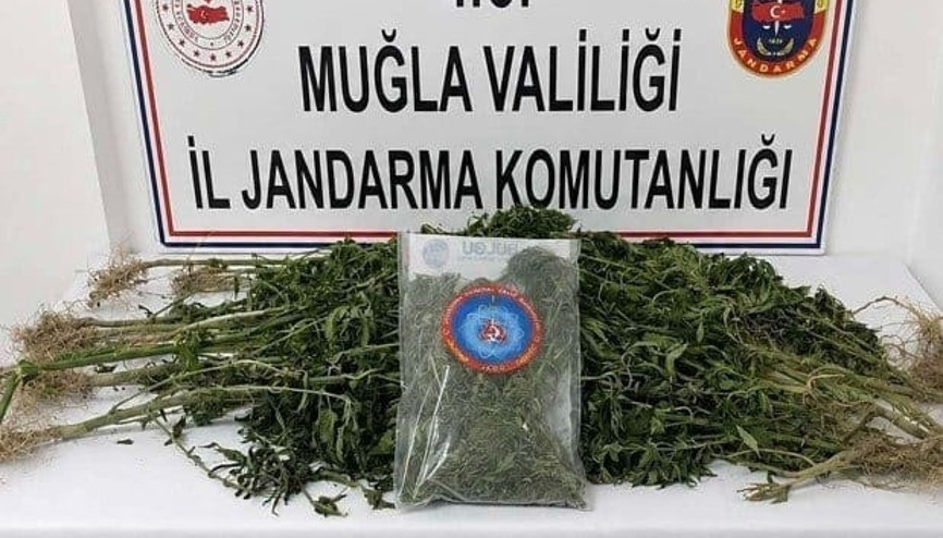 Muğlada uyuşturucu operasyonları: 5 zanlı tutuklandı Muğlada uyuşturucu operasyonları: 5 zanlı tutuklandı