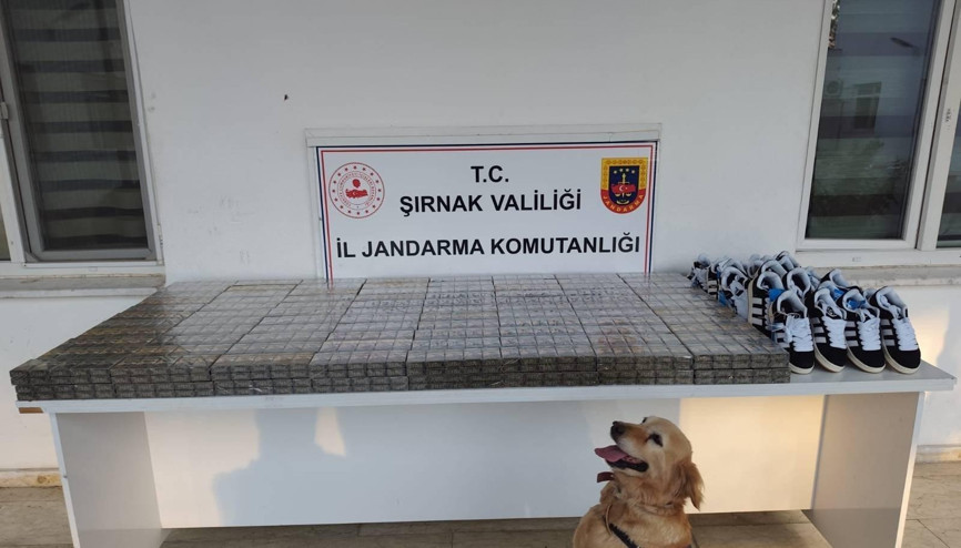 Şırnakta 9 milyon liralık kaçak ürün ele geçirildi