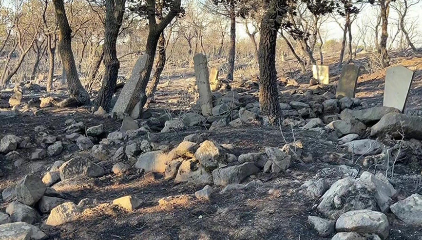Ayvalıkta alevlerin ulaştığı köy mezarlığı yangında hasar gördü Ayvalıkta alevlerin ulaştığı köy mezarlığı yangında hasar gördü