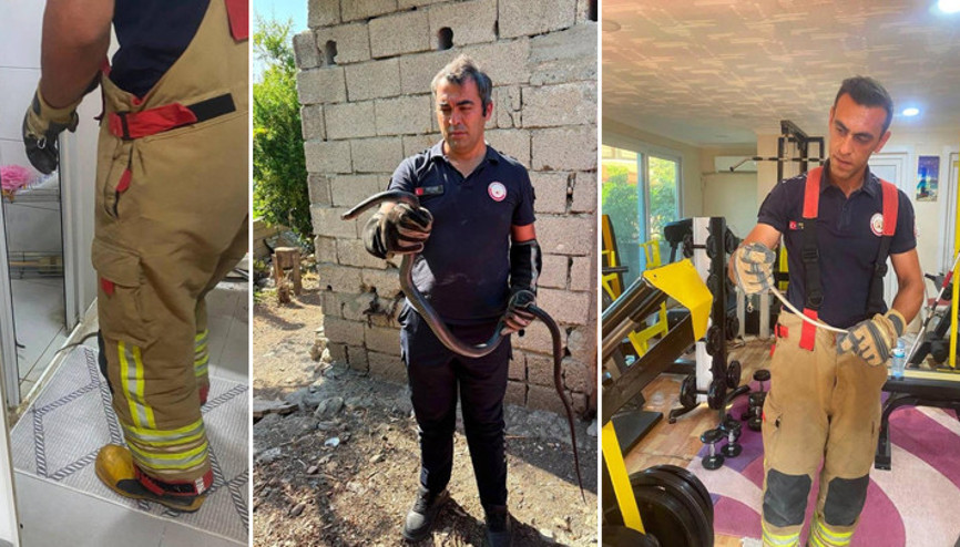 Hatay’da yerleşim yerlerinde görülen yılanlar itfaiye ekipleri tarafından yakalandı Hatay’da yerleşim yerlerinde görülen yılanlar itfaiye ekipleri tarafından yakalandı