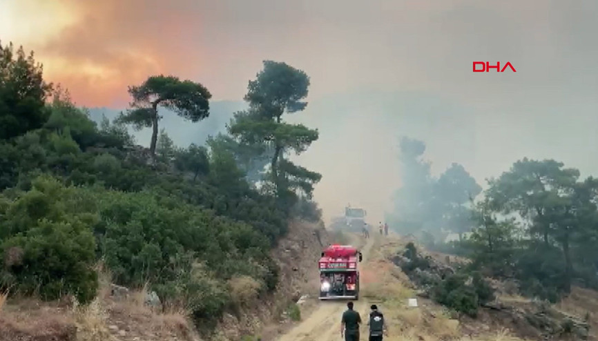 Aydındaki orman yangınına havadan müdahale yeniden başladı