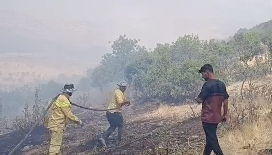 Siirt’te örtü yangını; 60 dönüm zarar gördü