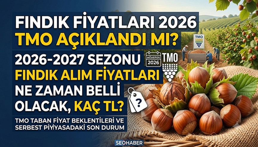 FINDIK FİYATLARI 2026 TMO AÇIKLANDI MI 2026-2027 Sezonu Fındık Alım Fiyatları Ne Zaman Belli Olacak, Kaç TL
