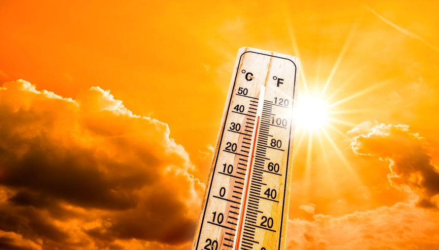 Avusturyada sıcak hava alarmı: Haziranda 395 kişi hayatını kaybetti