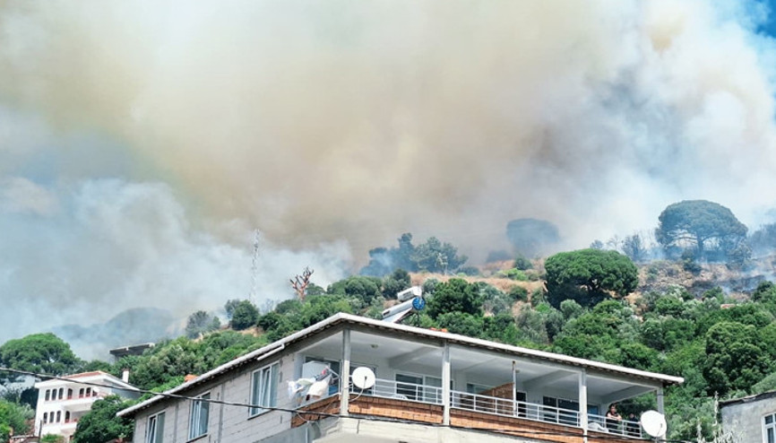 Alevlerle mücadelede son durum | Alanya, Kocaeli Dilovası ve Marmara Adasındaki orman yangınları kontrol altında