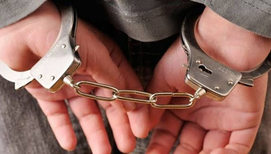 Haksız yollarla Türk vatandaşlığı kazandırdığı belirlenen suç örgütü operasyonunda 32 zanlı tutuklandı