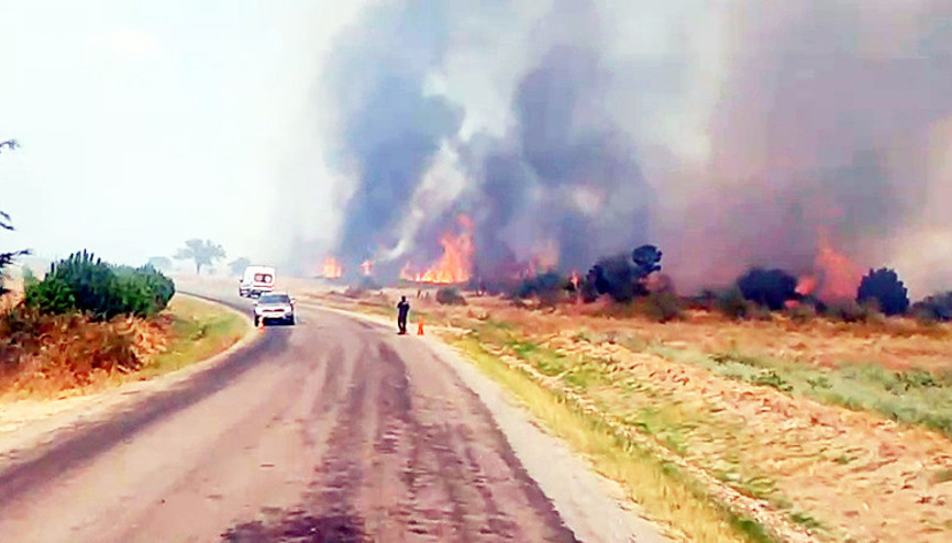 Edirnede anız yangını ormana sıçradı; havadan ve karadan müdahale sürüyor Edirnede anız yangını ormana sıçradı; havadan ve karadan müdahale sürüyor