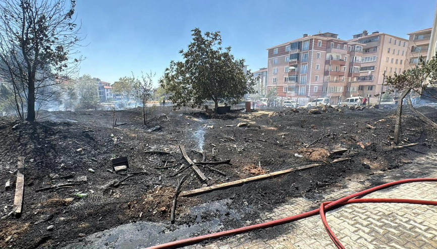 Ot yangınında alevler park halindeki araçlara sıçradı; 1 TIR yandı, 2 otomobil zarar gördü