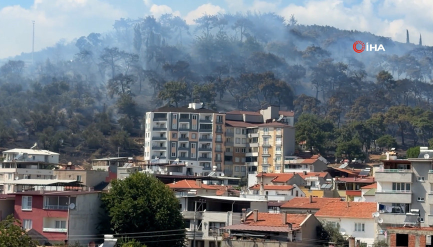 Kazdağlarının eteklerinde yangın