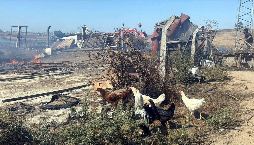 Tekirdağda anız yangını; 4 çiftlik evi yandı