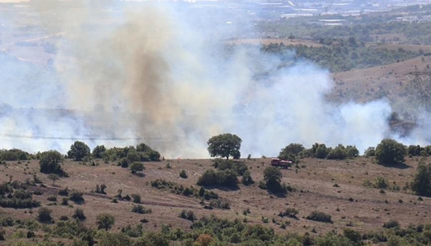 Kocaelide ormanlık alanda yangın