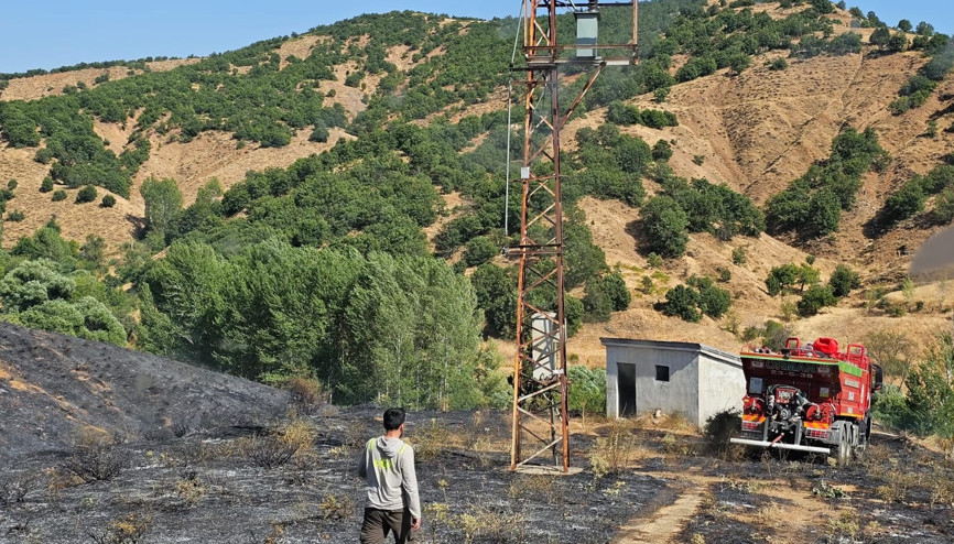 Bingöl’de ormanlık alanda çıkan örtü yangını söndürüldü