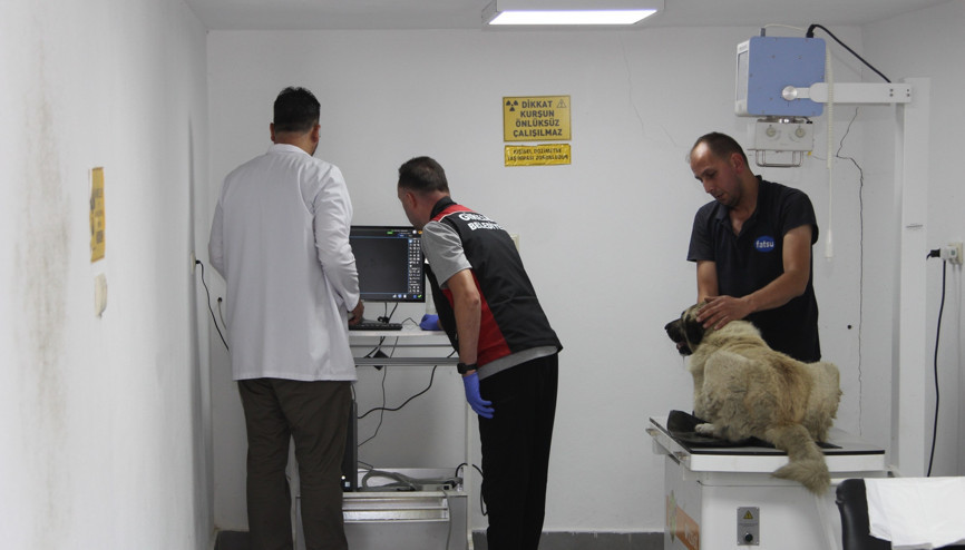 Ciple köpeğin üzerinden geçti; o anlar anlar kamerada (2)