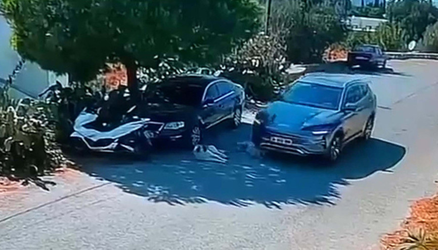 Köpeklerin üzerinden otomobille geçip kaçmıştı: Şüphelinin yeri belirlendi Köpeklerin üzerinden otomobille geçip kaçmıştı: Şüphelinin yeri belirlendi
