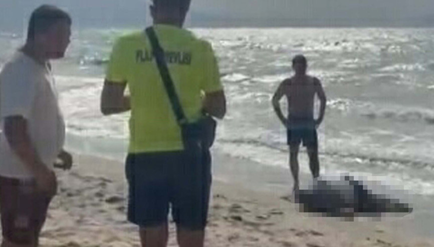 Kuşadasında acı son: Yattan denize düşen iş insanı sahilde ölü bulundu Kuşadasında acı son: Yattan denize düşen iş insanı sahilde ölü bulundu