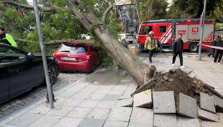 Şişlide park halindeki otomobilin üzerine ağaç devrildi; cadde trafiğe kapatıldı