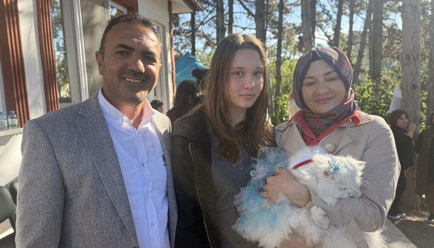 Tokatta kediler güzellik yarışmasında podyuma çıktı Tokatta kediler güzellik yarışmasında podyuma çıktı