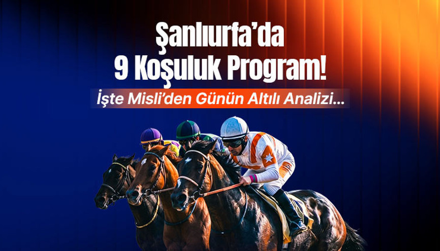 Şanlıurfa’da 9 koşuluk program İşte Misli’den günün altılı analizi…