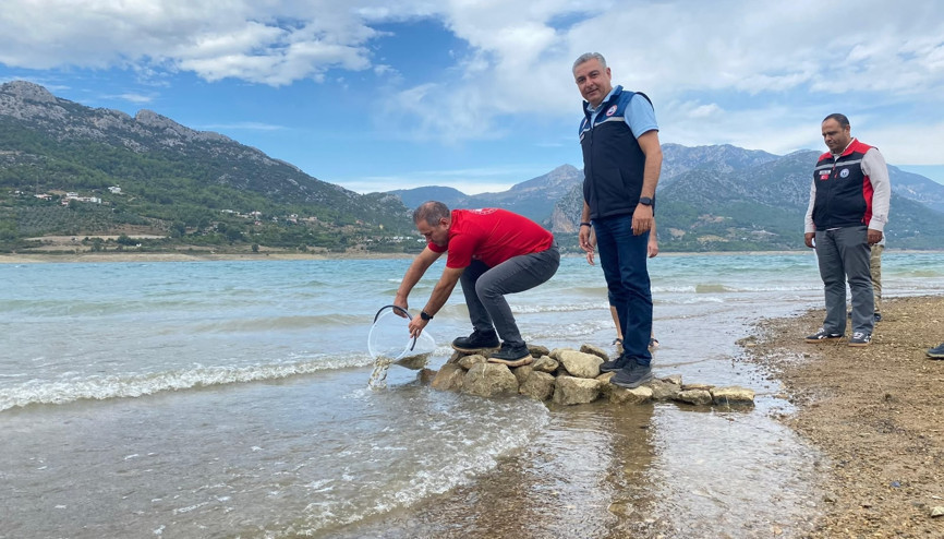 Kozanda yavru sazanlar su kaynaklarıyla buluşturuldu Kozanda yavru sazanlar su kaynaklarıyla buluşturuldu