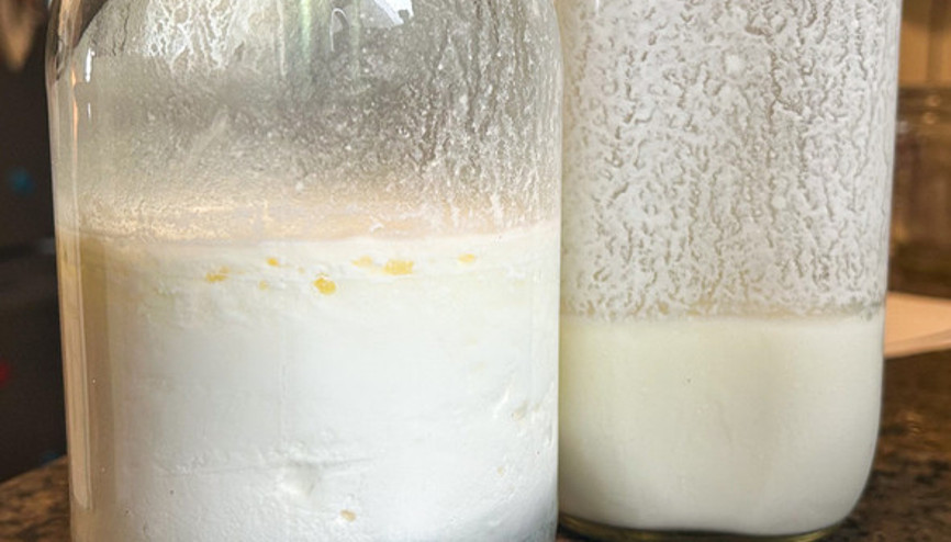 Şişedeki şifa şüphesi: Hazır kefir ve kombucha gerçekten faydalı mı Şişedeki şifa şüphesi: Hazır kefir ve kombucha gerçekten faydalı mı