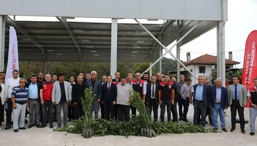Muğla’da defne üretiminden 35 milyon lira gelir