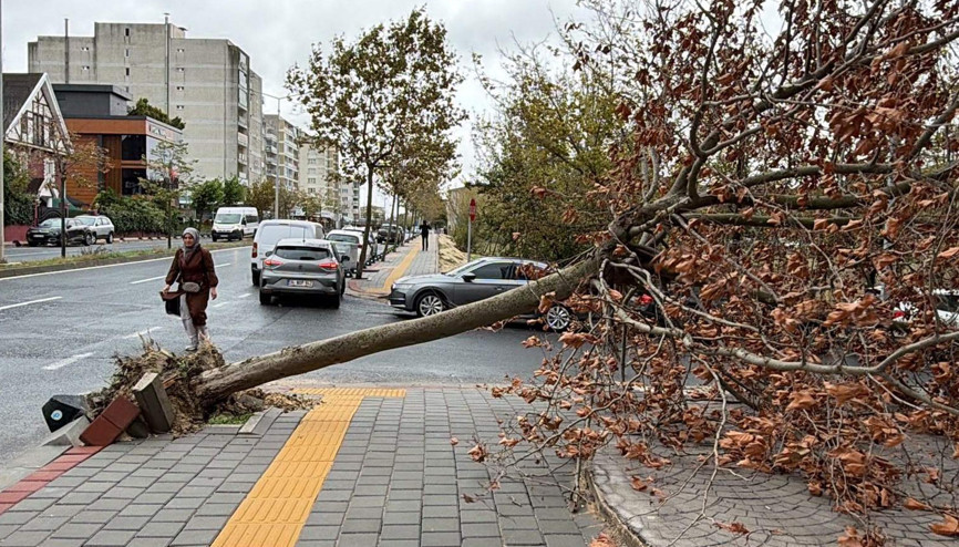 Tekirdağda fırtına; eğitim uçuşları iptal edildi, balıkçılar denize açılamadı