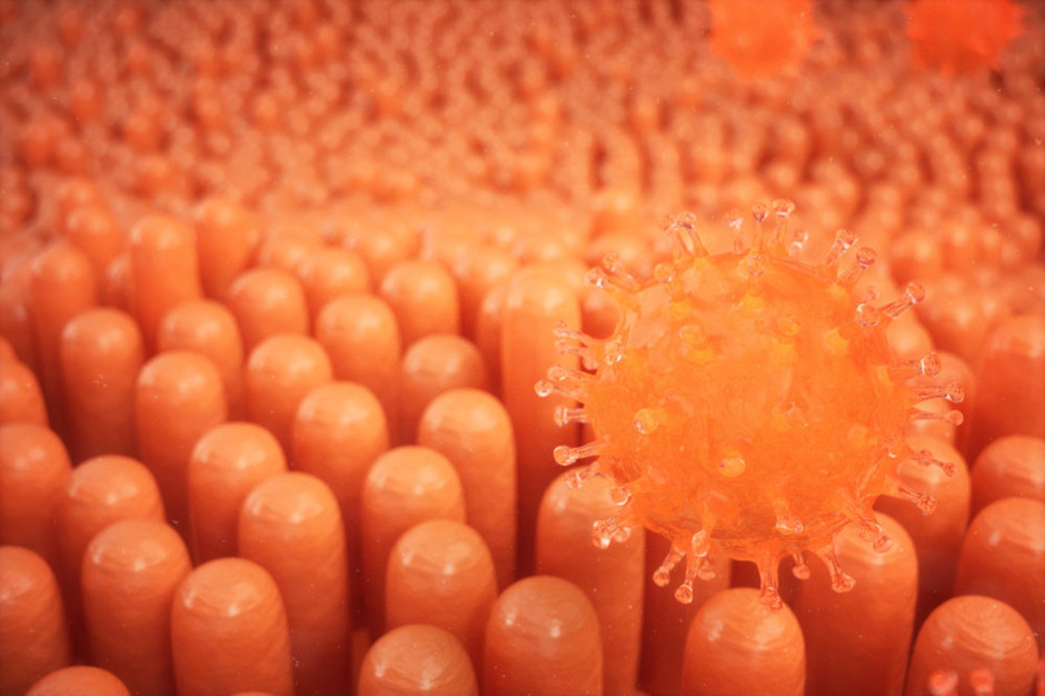 Hafife almayın, zamanla kansere dönüşebilir | Enfeksiyonların kansere dönüşme durumu düşündüğümüzden daha yaygın